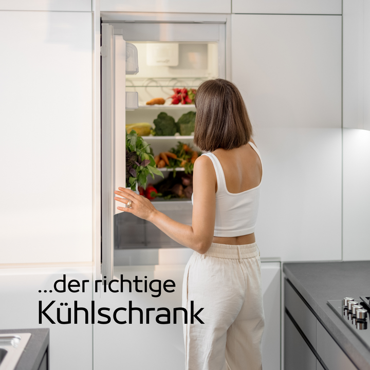 Kühlschrank Wahl - Kriterien für Effizienz und Funktionalität